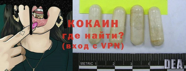 крисы Бородино