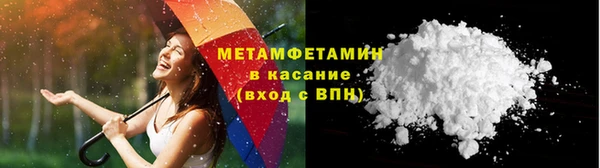 крисы Бородино