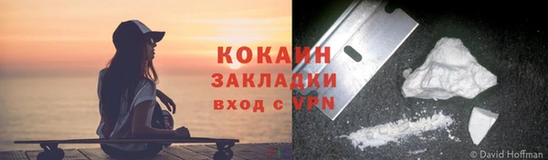 крисы Бородино
