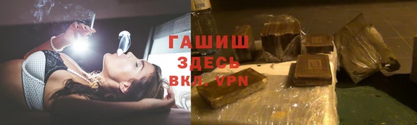 крисы Бородино