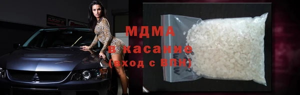 крисы Бородино