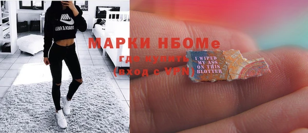 крисы Бородино